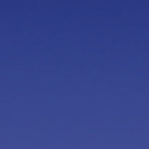 Meet your Posher, Dale